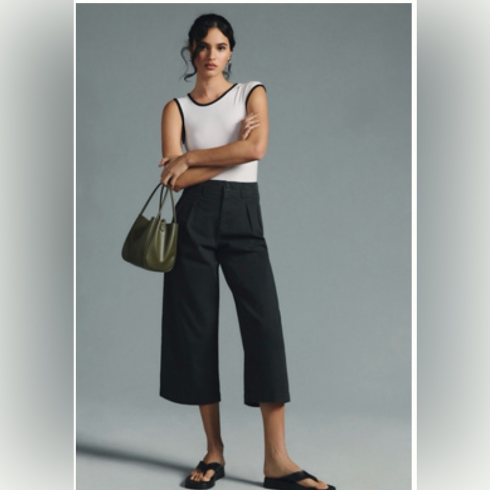 NEW Anthropologie Maeve Remi Wide-Leg Crop Chino Pants Carbon
